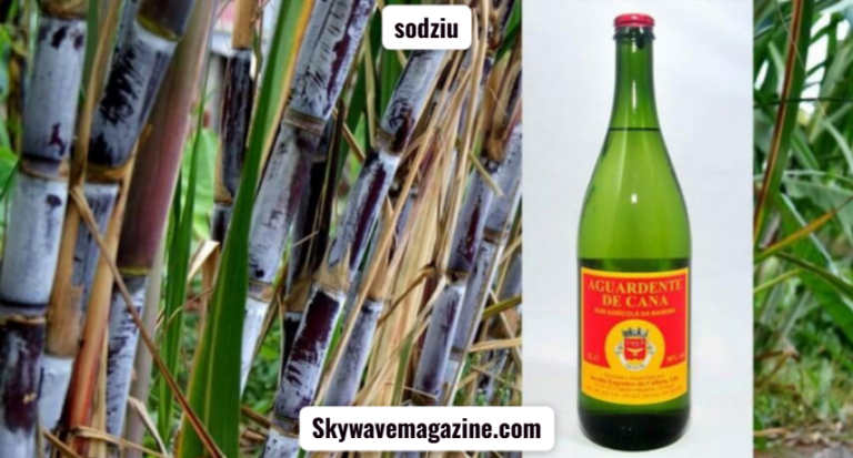 sodziu